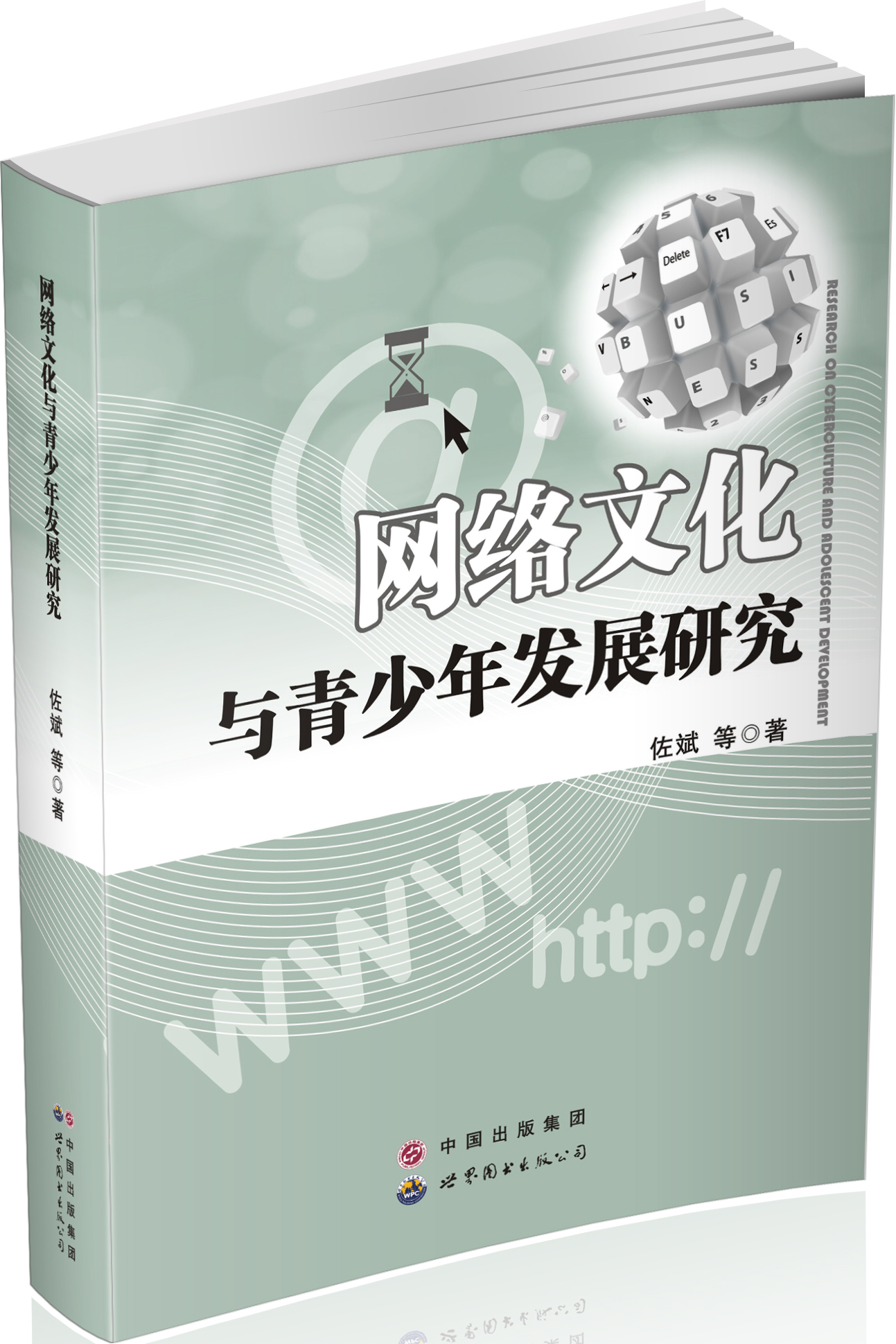 网络文化与青少年发展研究